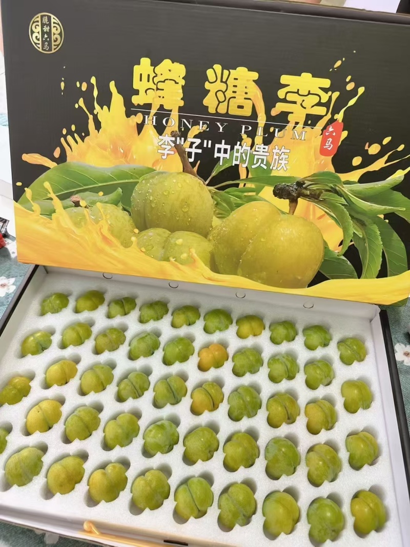 贵州六马蜂糖李