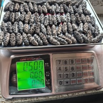 野生海参淡干，120到200头