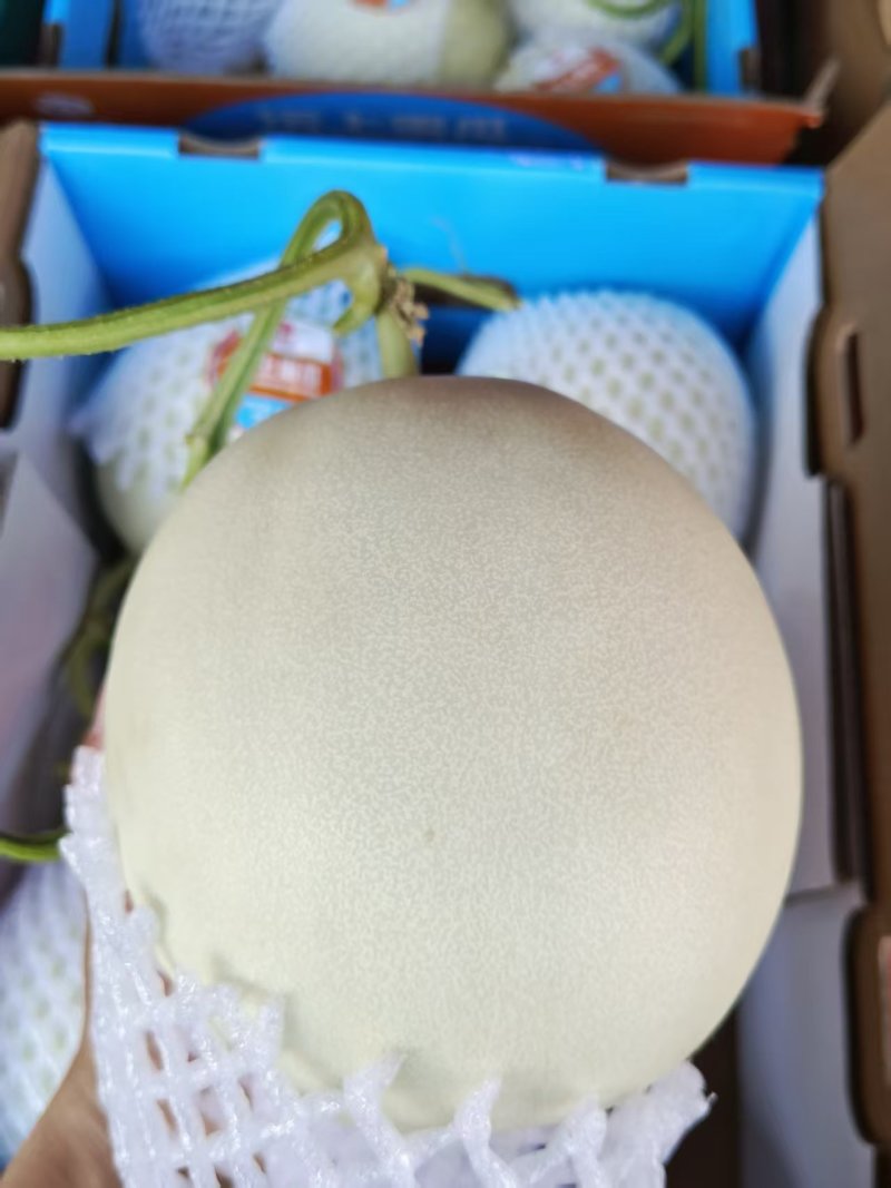 沄上玉菇甜瓜，冰淇淋口感，翡翠果肉，软糯香甜，