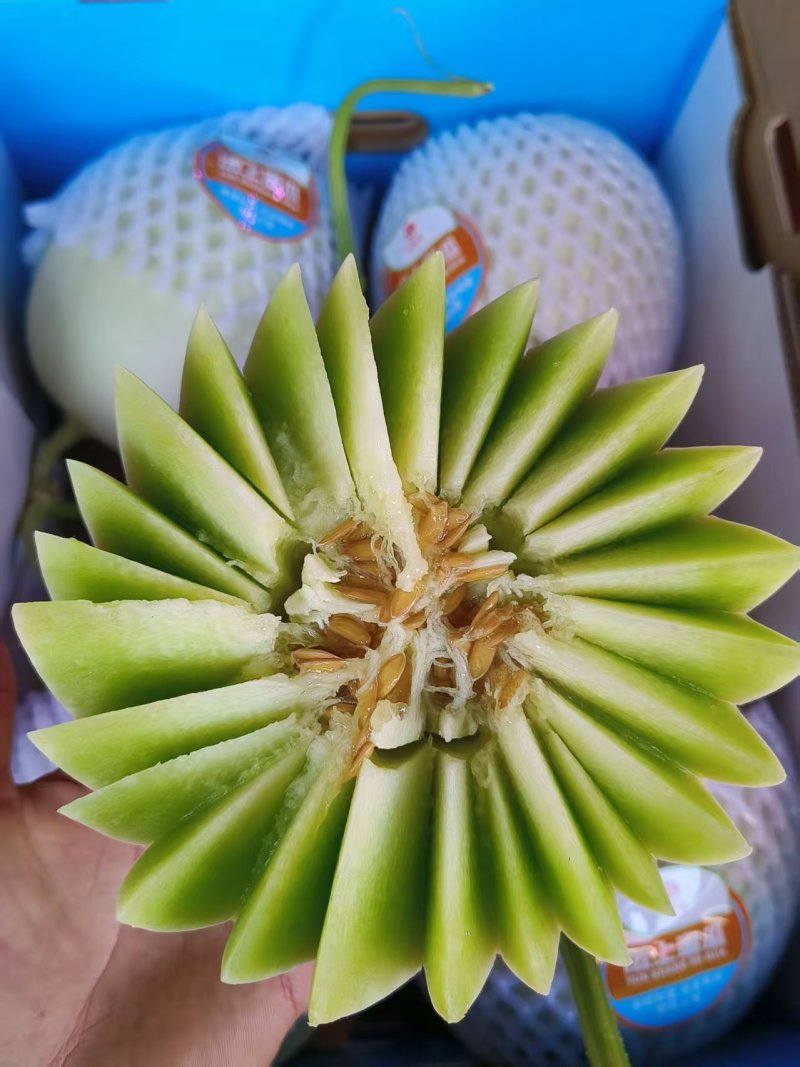 沄上玉菇甜瓜，冰淇淋口感，翡翠果肉，软糯香甜，