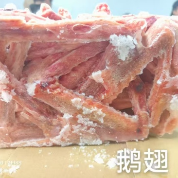 厂家一级鹅翅11个左右40吨