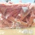 厂家一级鹅翅11个左右40吨