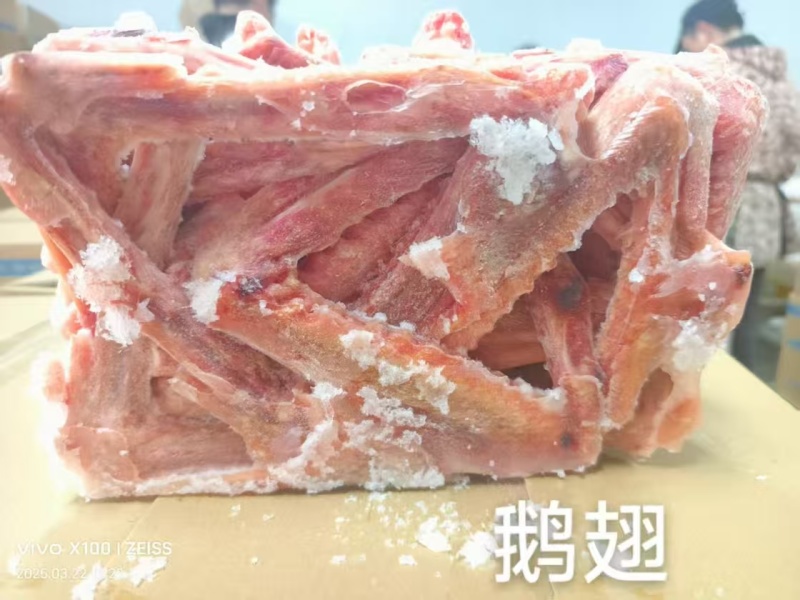 厂家一级鹅翅11个左右40吨