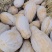 海南产地直供没有中间商！这么好的老南瓜，价格给到地板价