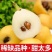现货包邮莆田白玉枇杷高山现摘新鲜贵妃白白梨正白应季水果一
