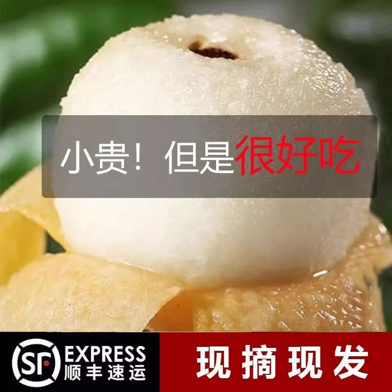 现货包邮莆田白玉枇杷高山现摘新鲜贵妃白白梨正白应季水果一