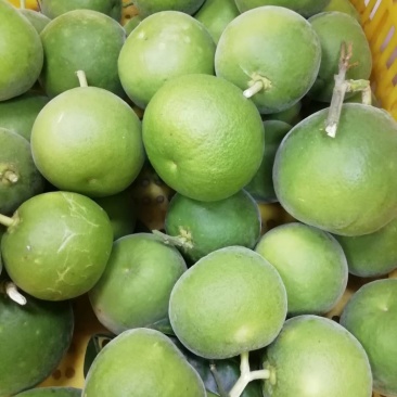 橘红鲜果