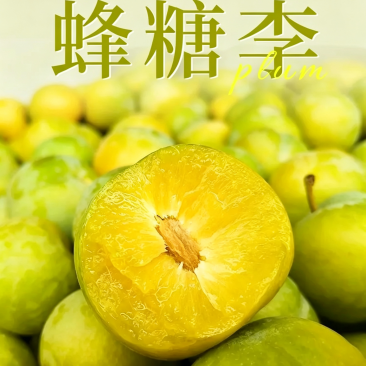 六马蜂糖李