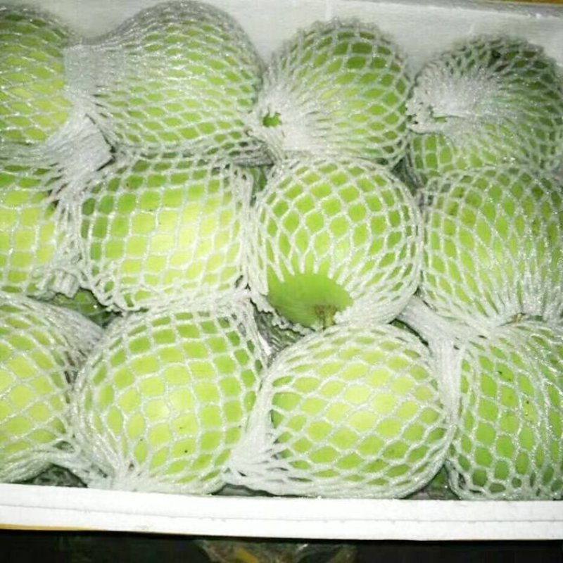 翡翠香芋冬瓜，香味十足