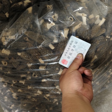 1.5吨干货，带诚意可谈