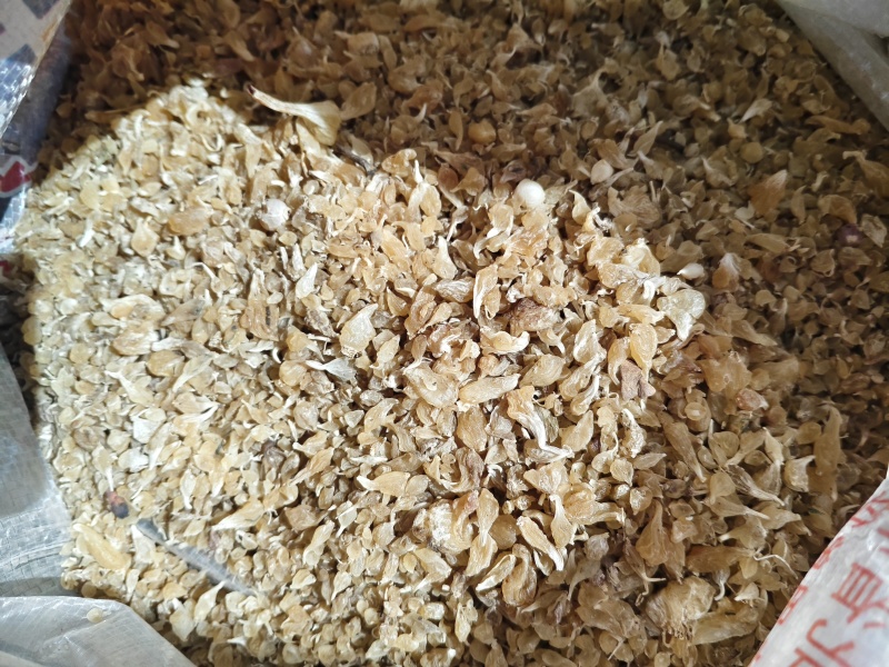 薤白