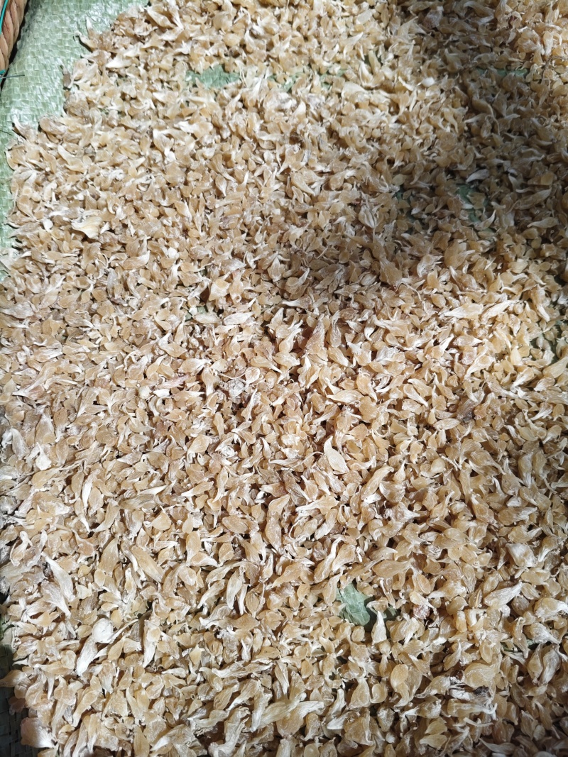薤白