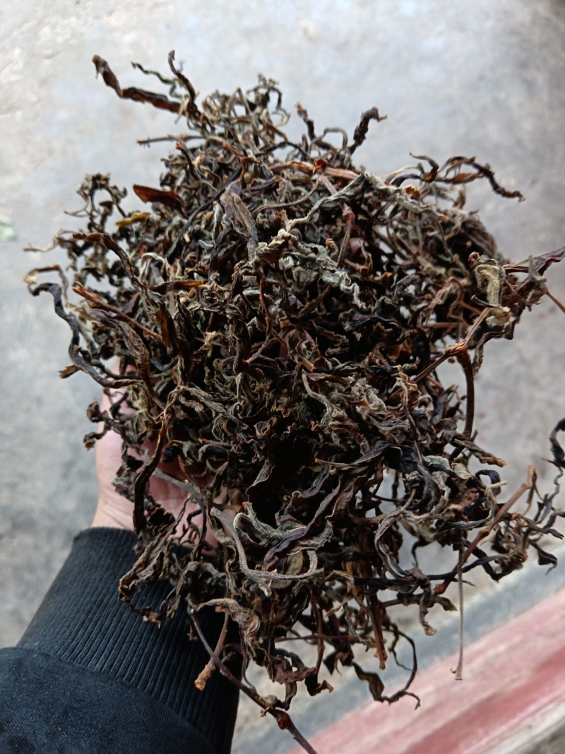 武隆老鹰茶