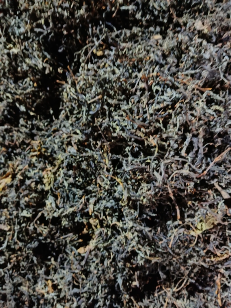 武隆老鹰茶