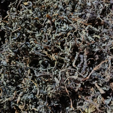 武隆老鹰茶