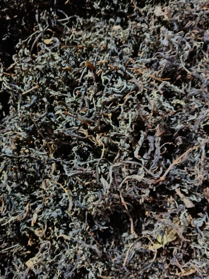 武隆老鹰茶