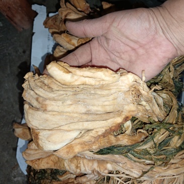 大头菜