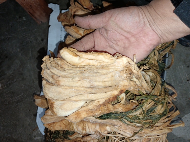 大头菜