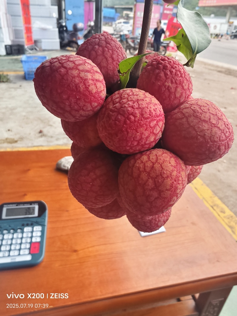 荔枝