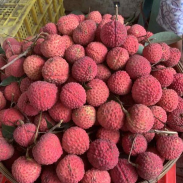 荔枝