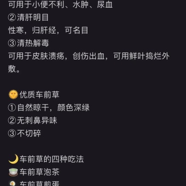 纯野生的车前草