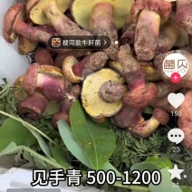 野生菌