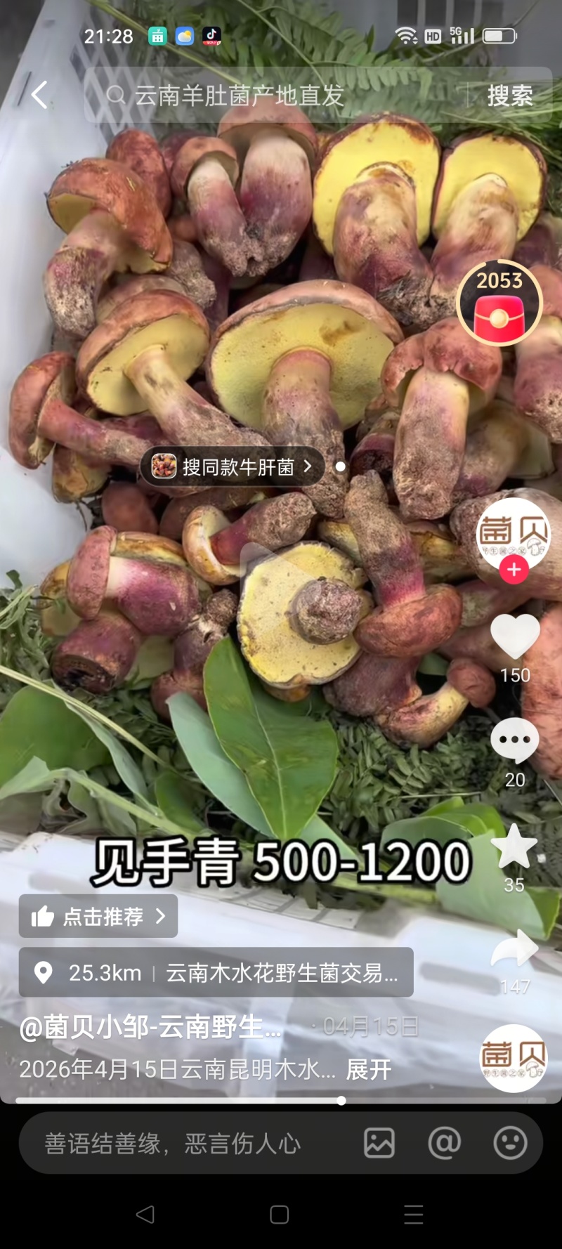 野生菌
