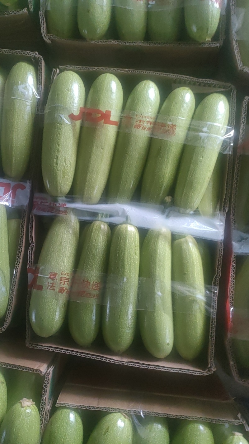 西葫芦