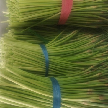 蒜薹