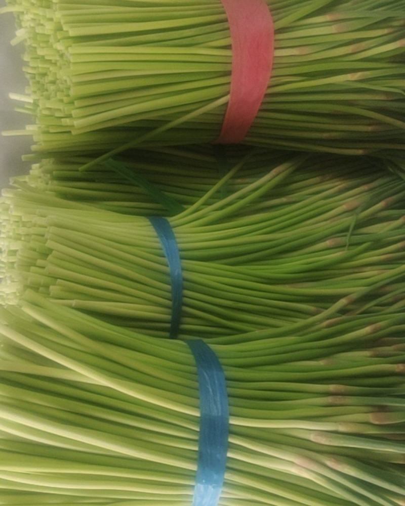 蒜薹