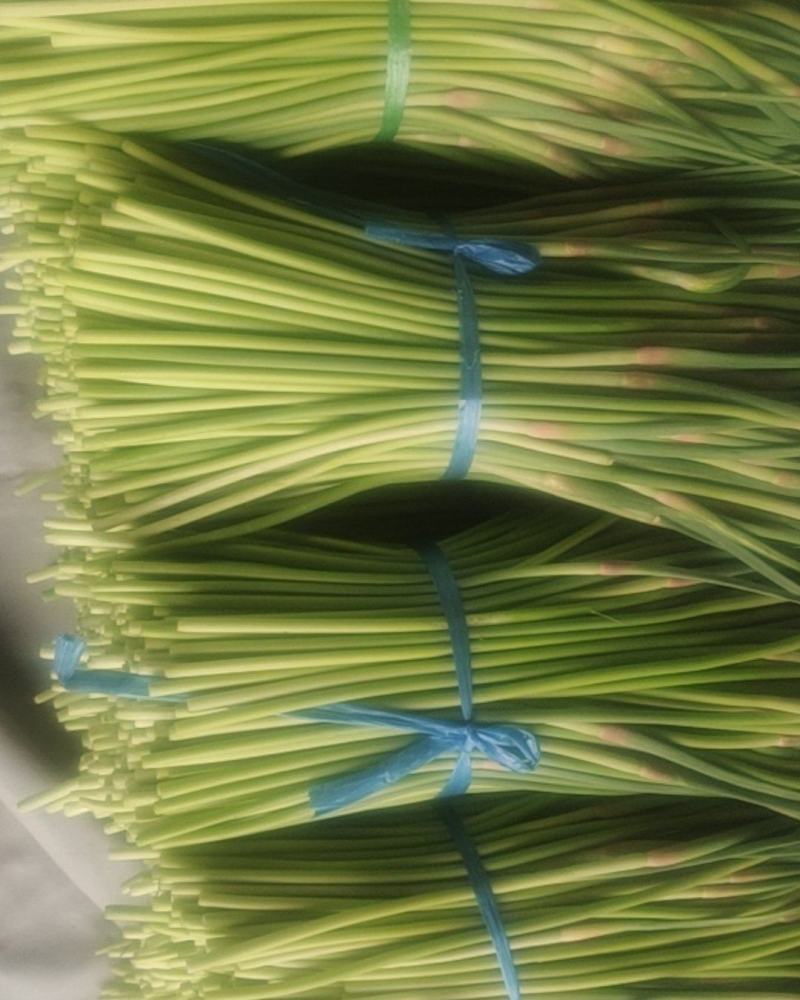 蒜薹