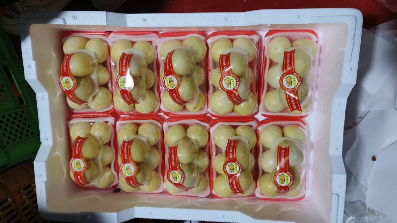 云南人参果