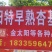 山西省永济市长旺村早熟杏基地
