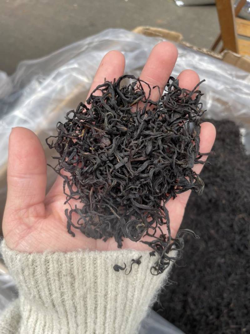 红茶
