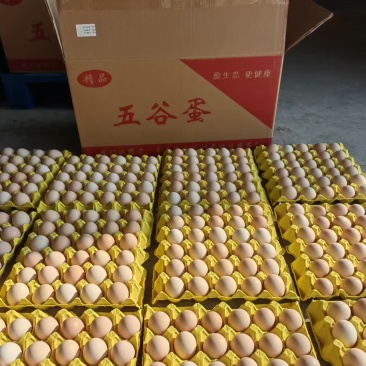 粉八粉六，大午罗曼