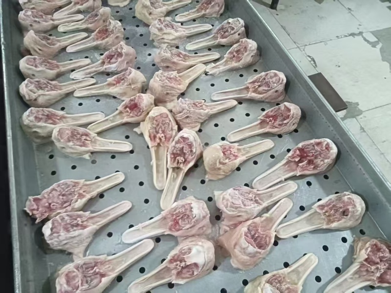 去舌鸭下巴
