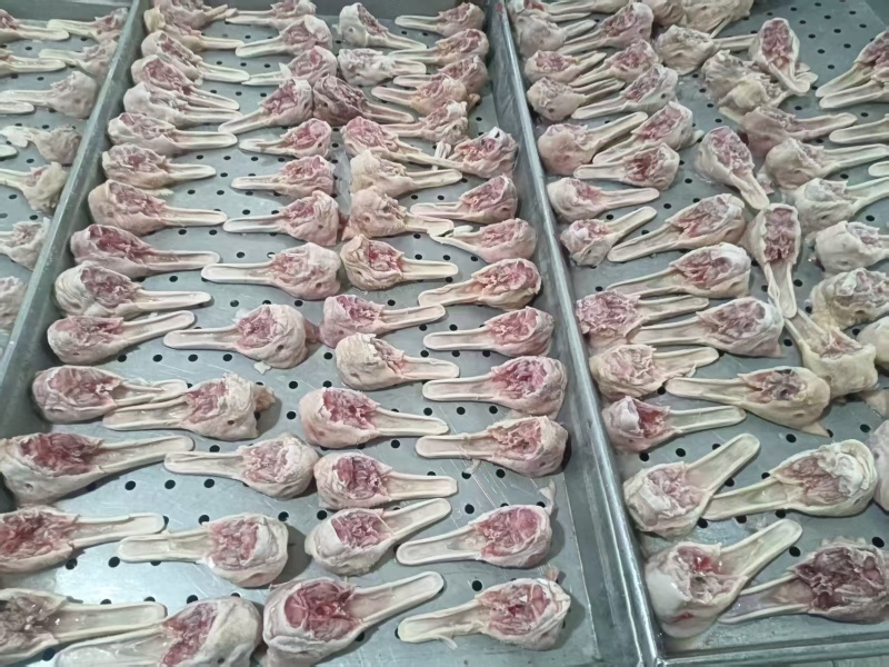 去舌鸭下巴