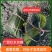 专业生产粽子资质齐全可接各大商超电商礼品公司品牌代工