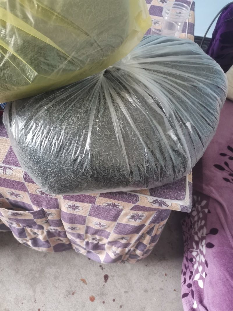 白沙绿茶