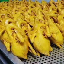 电商**:盐焗鸡。麻椒鸡。酱香鸡。酱香鸭，个位数一只。真空锁