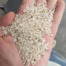 东北珍珠米
