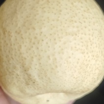 山西贡🍐