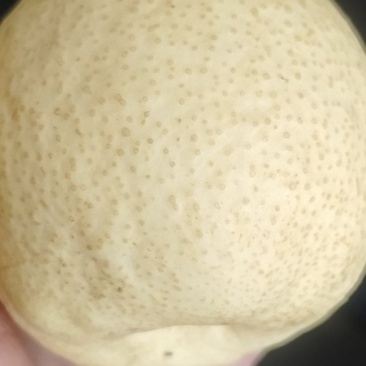 山西贡🍐