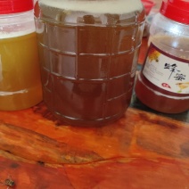 湖南土蜂蜜