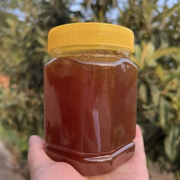 源自贵州深山土蜂蜜，自然成熟原蜜桶装，***无加工
