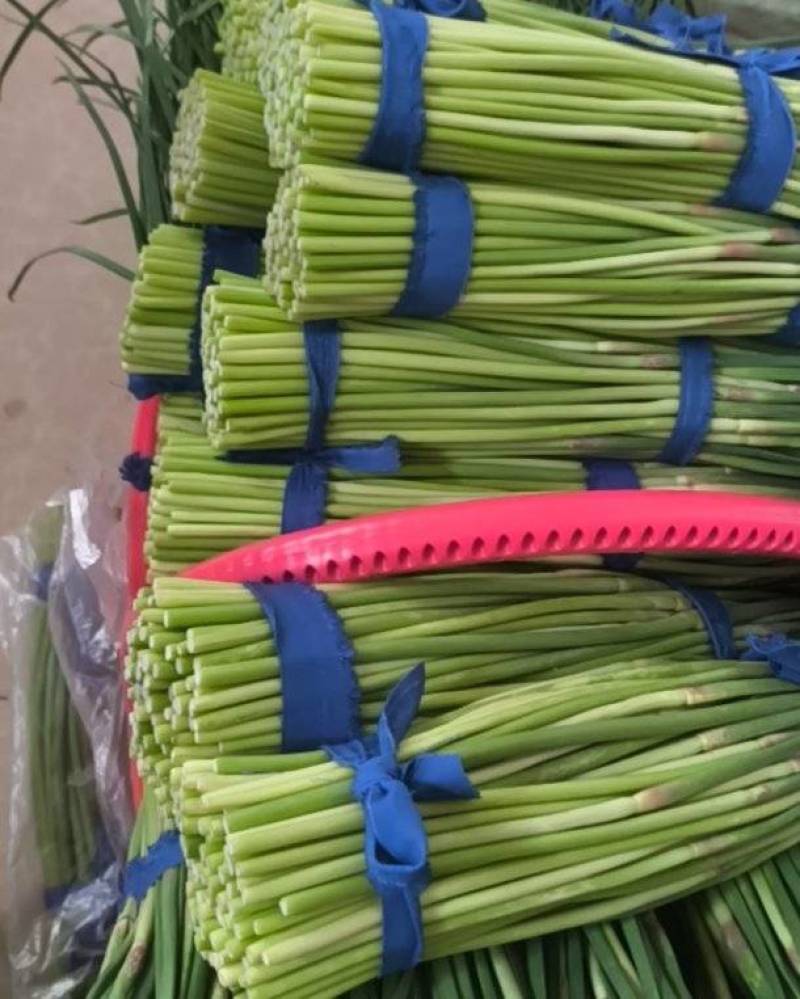 是新鲜农家蒜薹