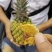 菠萝🍍