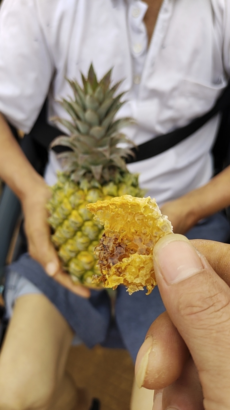 菠萝🍍