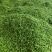 大量，供应