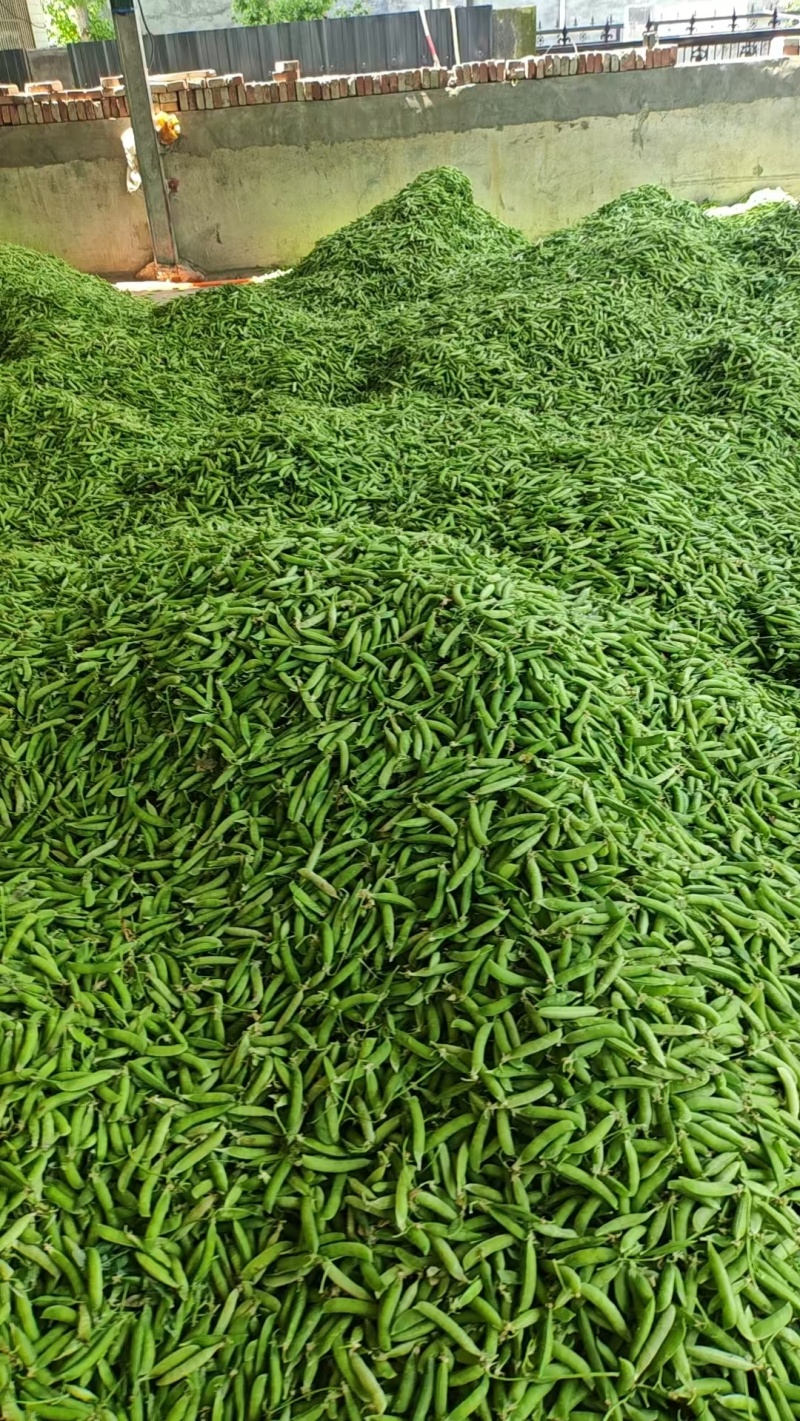 大量，供应
